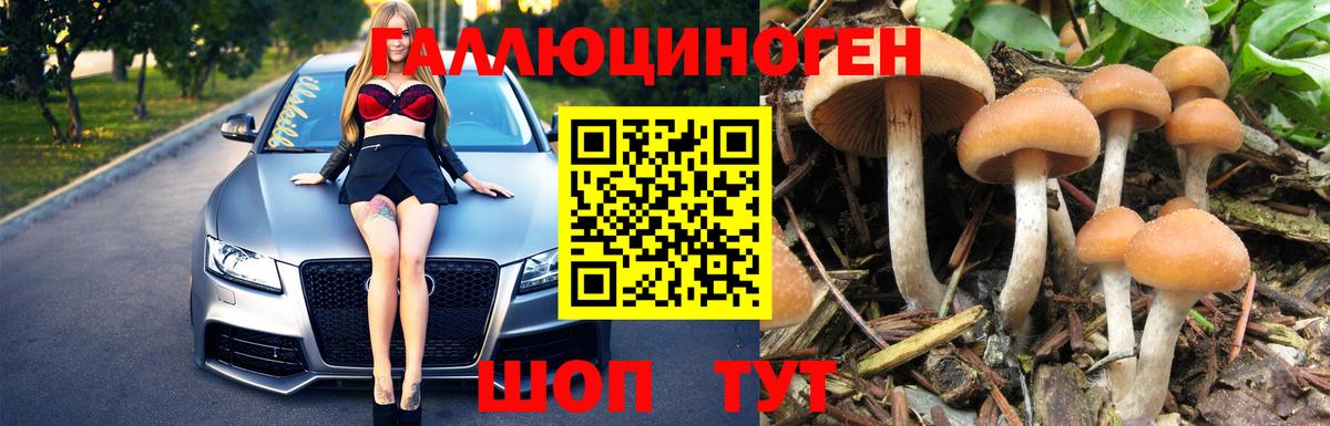 Галлюциногенные грибы GOLDEN TEACHER Торжок
