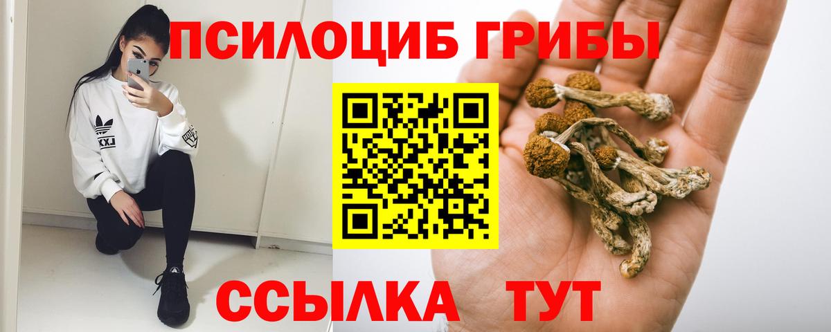 Псилоцибиновые грибы мухоморы  Псилоцибиновые грибы Psilocybe  Вход с VPN  Торжок 